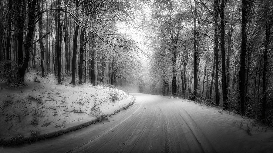 Winter road Photograph by Plamen Petkov