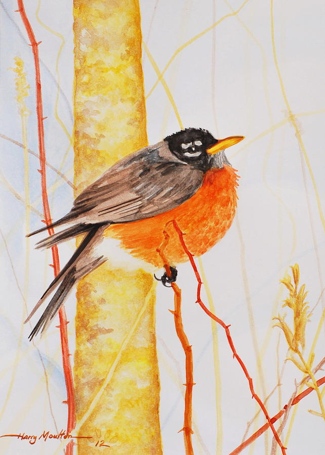 Winter Robin Painting by Harry Moulton