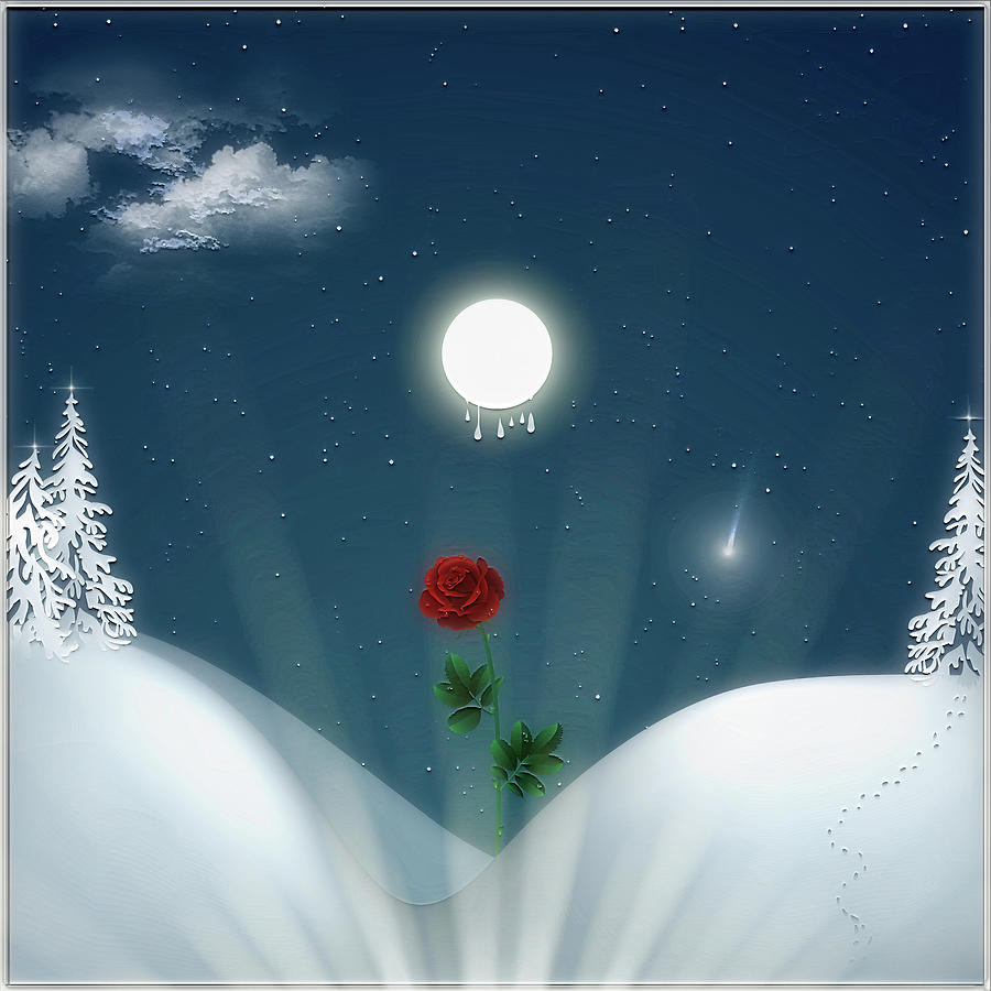 Winter Rose Digital Art by Harald Dastis