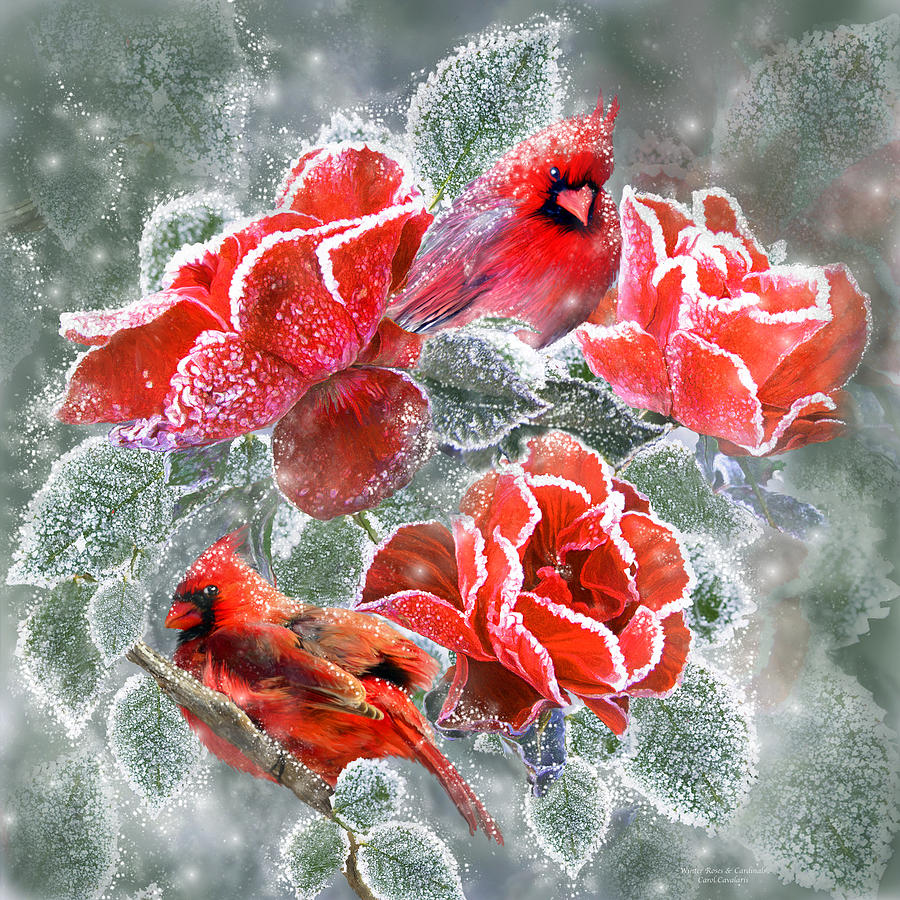 Winter Roses And Cardinals Mixed Media by Carol Cavalaris
