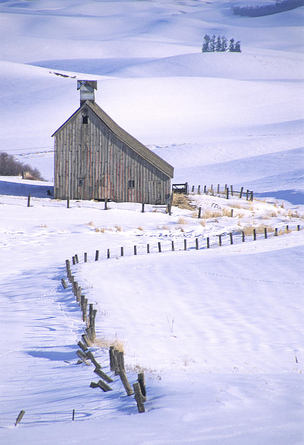 Winter Salt Barn Photograph by Doug Davidson