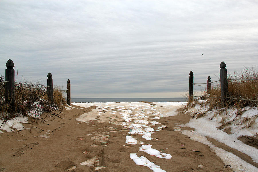 Winter Sands Photograph by Becca Wilcox