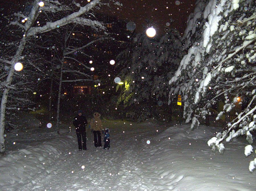 Winter scene 7 Photograph by Sami Tiainen