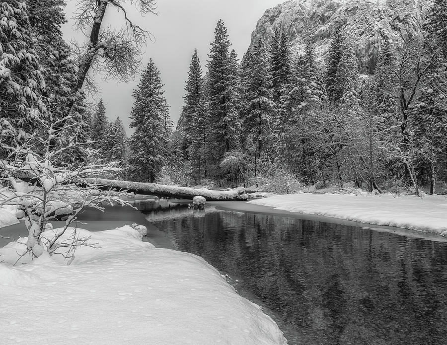 Winter Scene in BW Photograph by Jonathan Nguyen