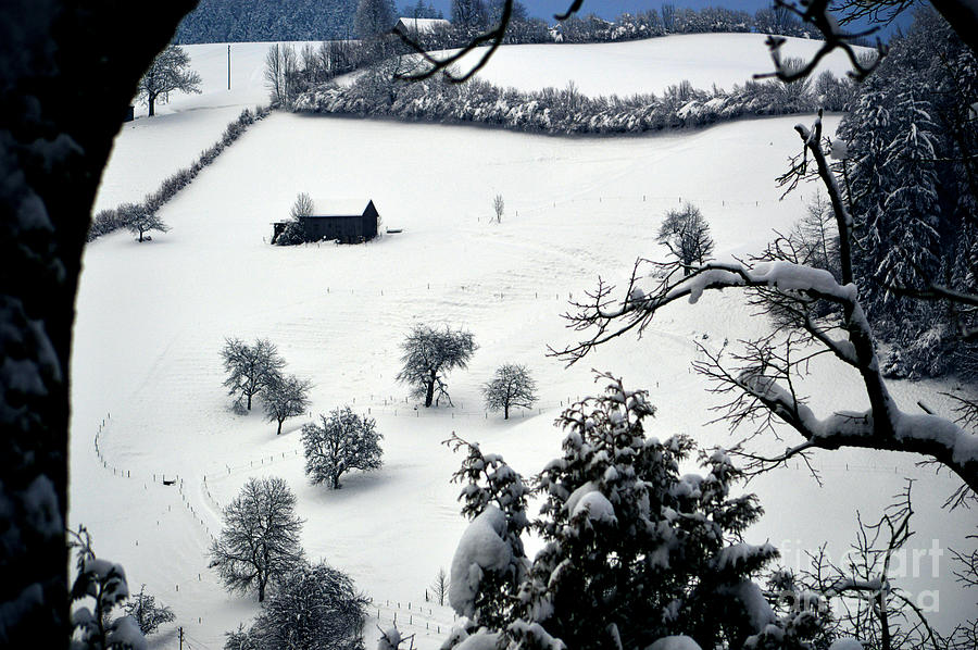 Winter Scene In Switzerland Photograph