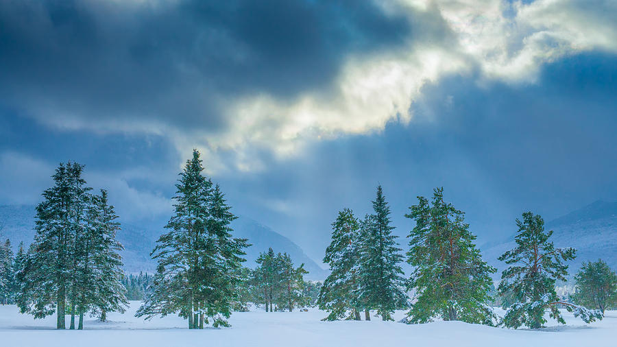Winter Scene - New Hampshire Photograph by Joseph Smith