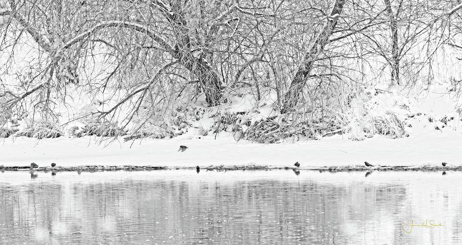 Winter Scene on the Platte River Photograph by Amanda Smith