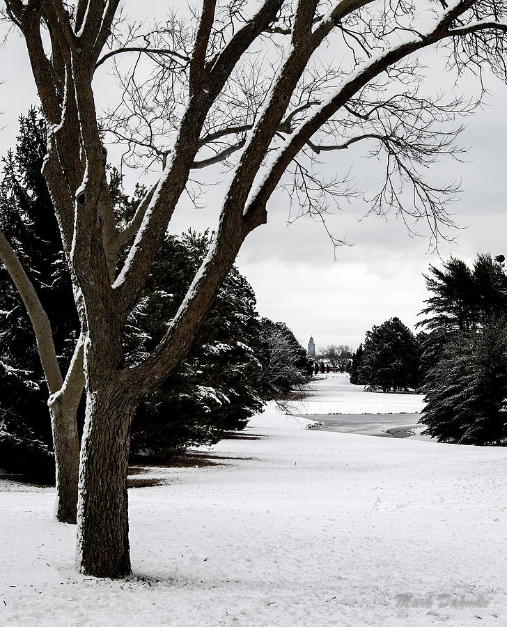 Winter Scene, Pioneers Park Photograph by Mark Dahmke