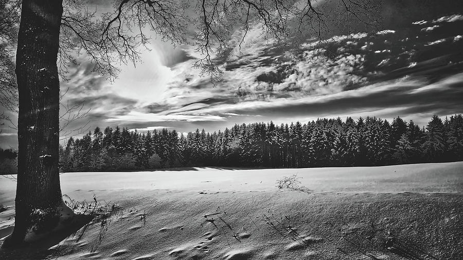 Winter Scene Photograph by Mountain Dreams