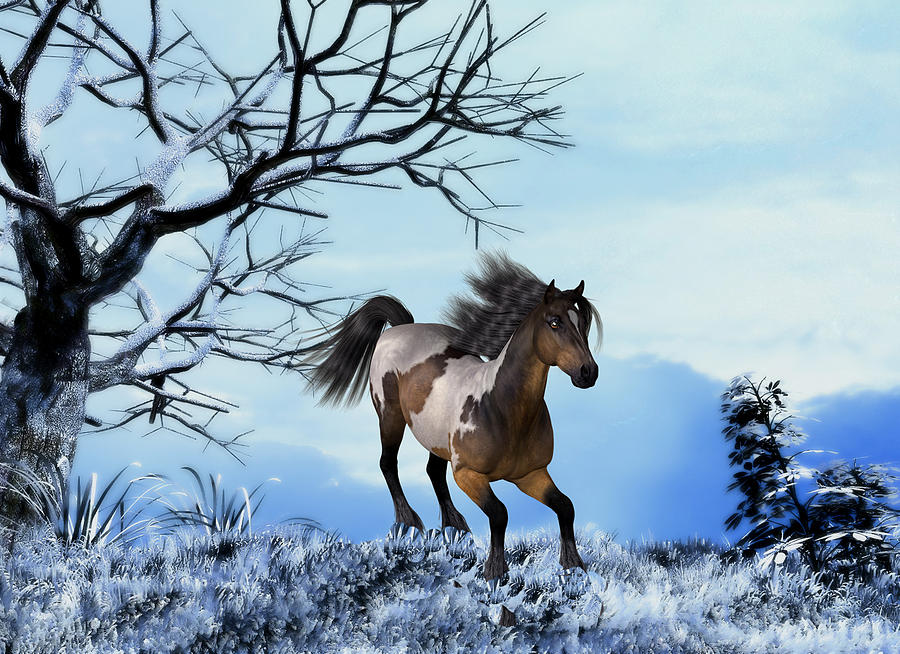 Winter Scene - running horse Digital Art by John Junek