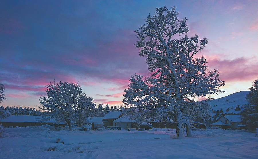 Winter Scene - Scotland Farm Photograph by Mountain Dreams
