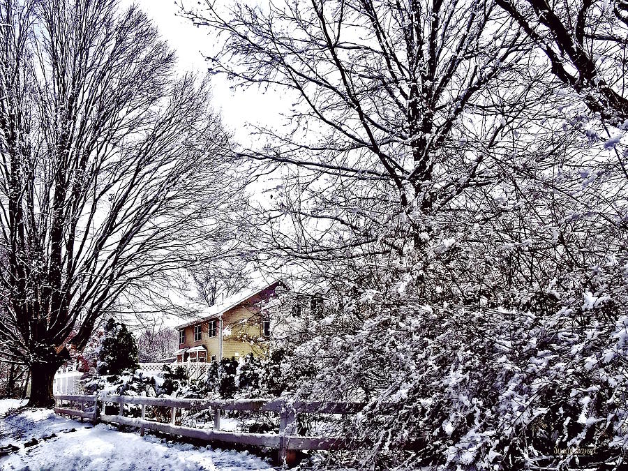 Winter Scene Photograph by Susan Savad