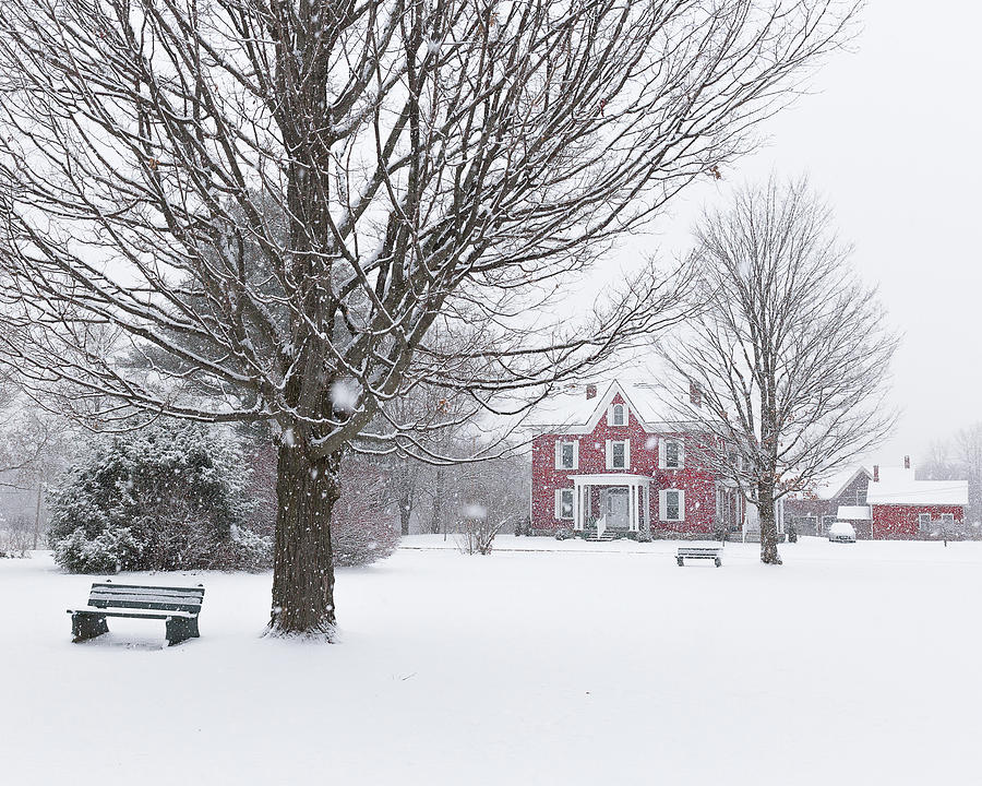 Winter Scene Photograph by Tim Kirchoff