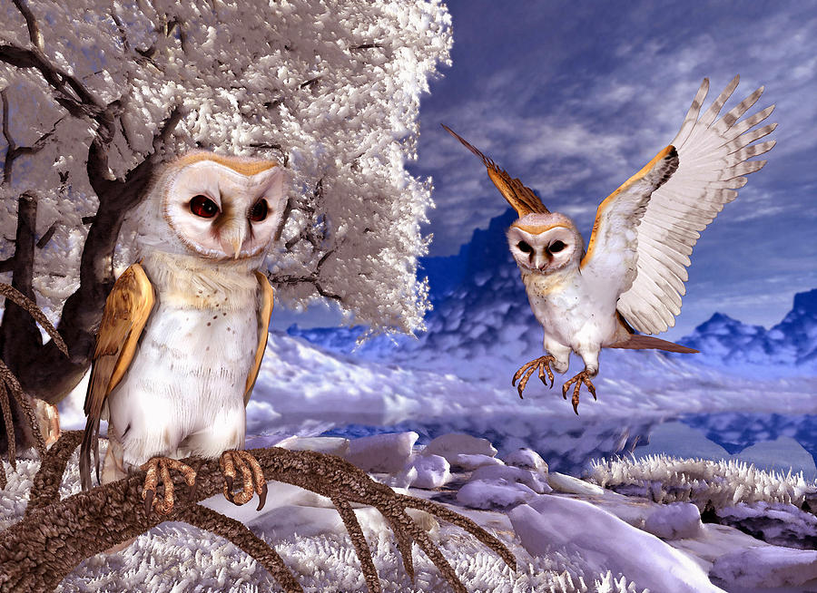 Winter Scene - Two Barn Owls Digital Art by John Junek