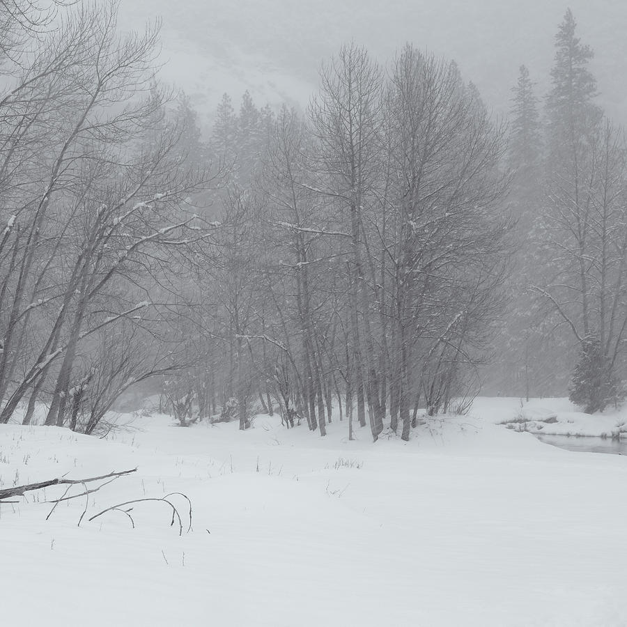 Winter Scenery 3 Photograph by Jonathan Nguyen