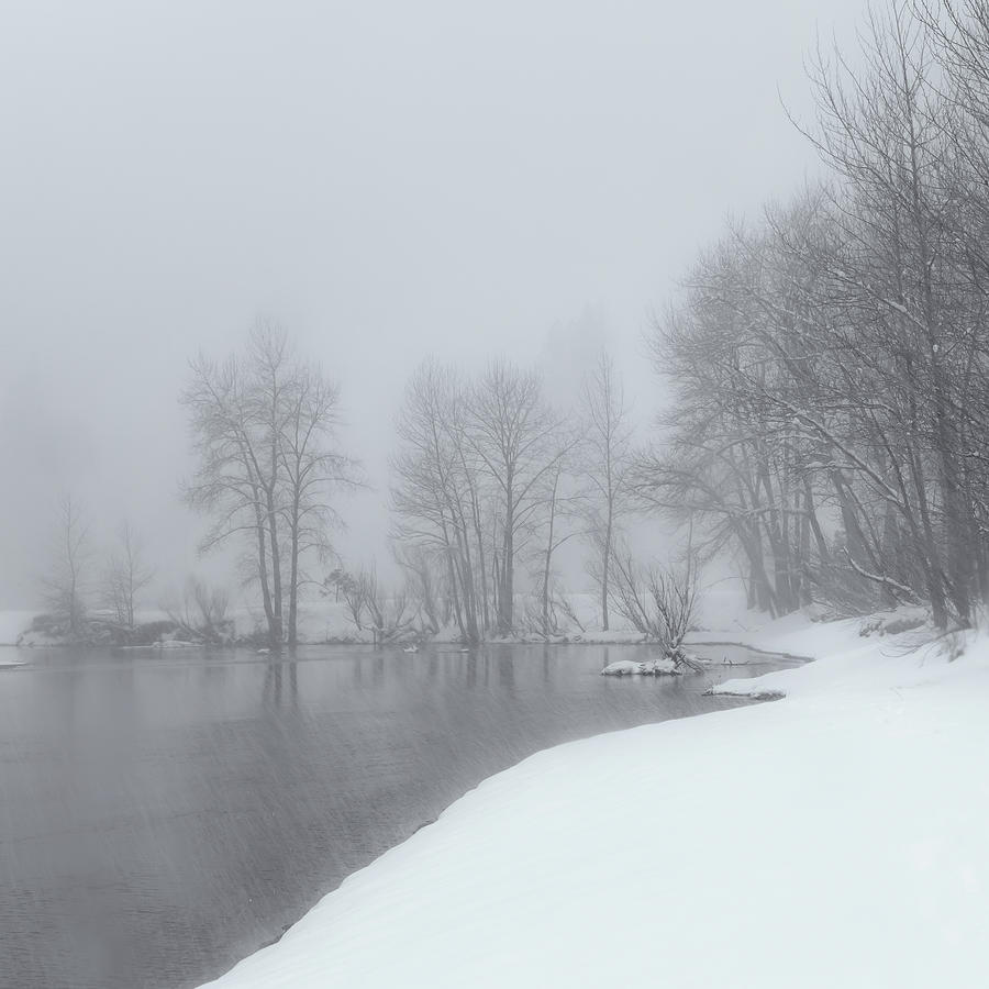 Winter Scenery 4 Photograph by Jonathan Nguyen