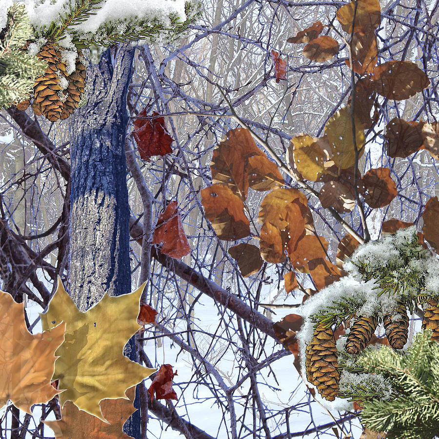 Winter Season Edge Digital Art by Garaga Designs