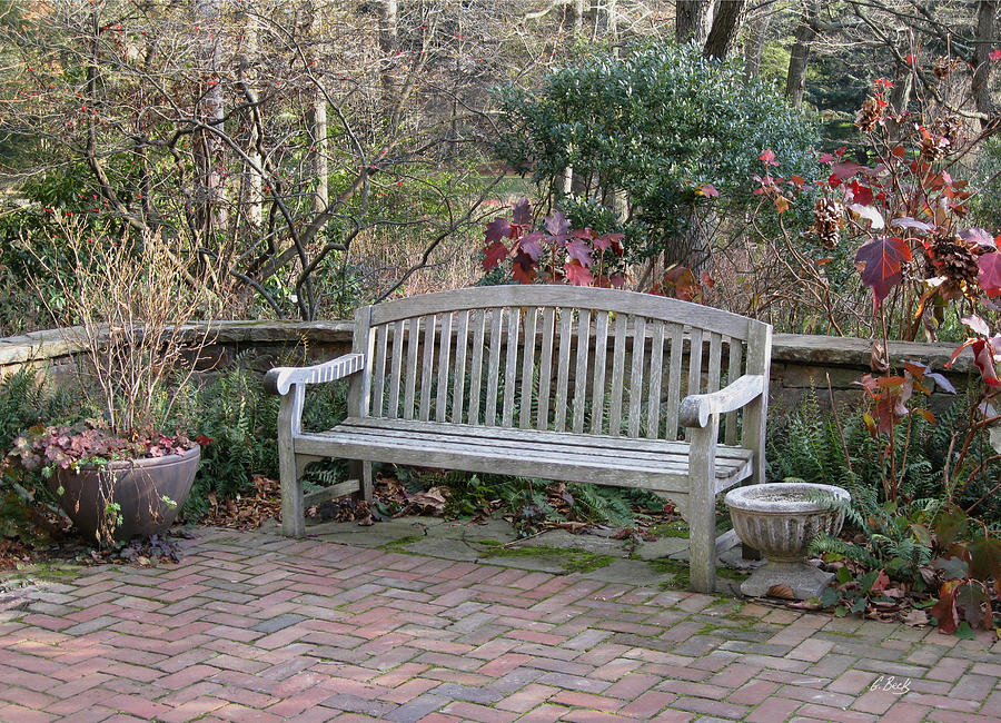 Winter Seating Photograph by Gordon Beck