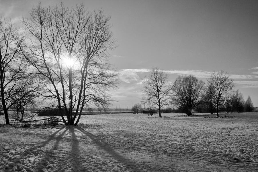 Winter Shadow Photograph by Terence Davis