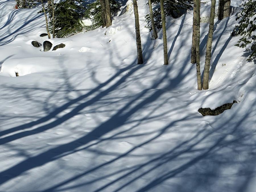 Winter Shadows Photograph by Connor Beekman