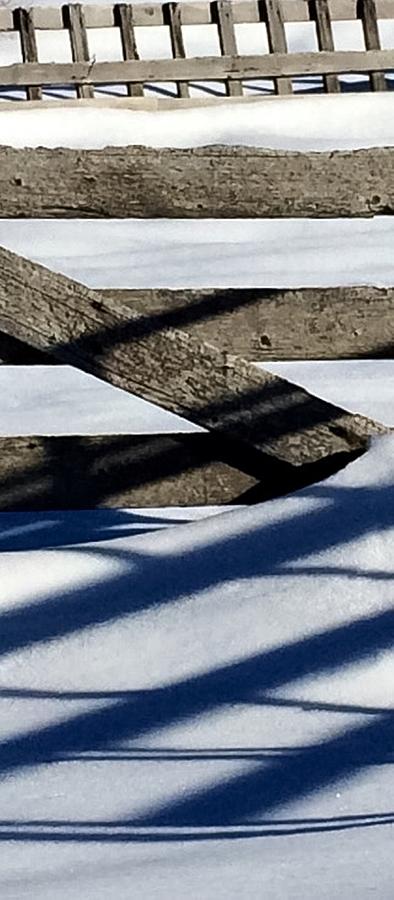 Winter Shadows Painting by Jennifer Lake
