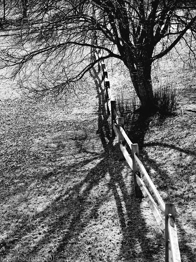 Winter Shadows Photograph by Kathi Isserman