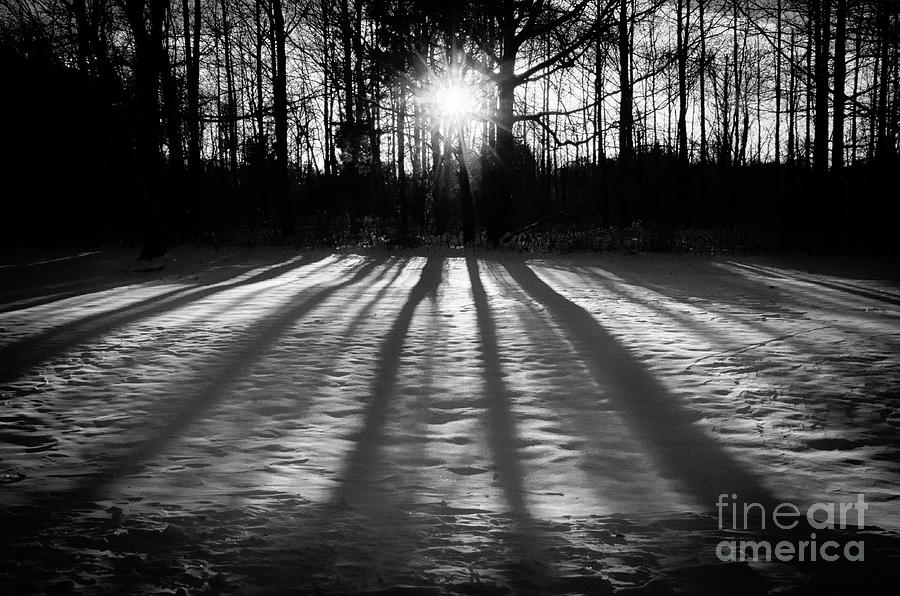 Winter Shadows from the Trees Rustic Black and White Landscape Photo Photograph by PIPA Fine Art - Simply Solid