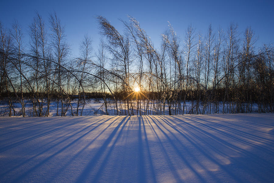 Winter Shadows Photograph by Mircea Costina Photography