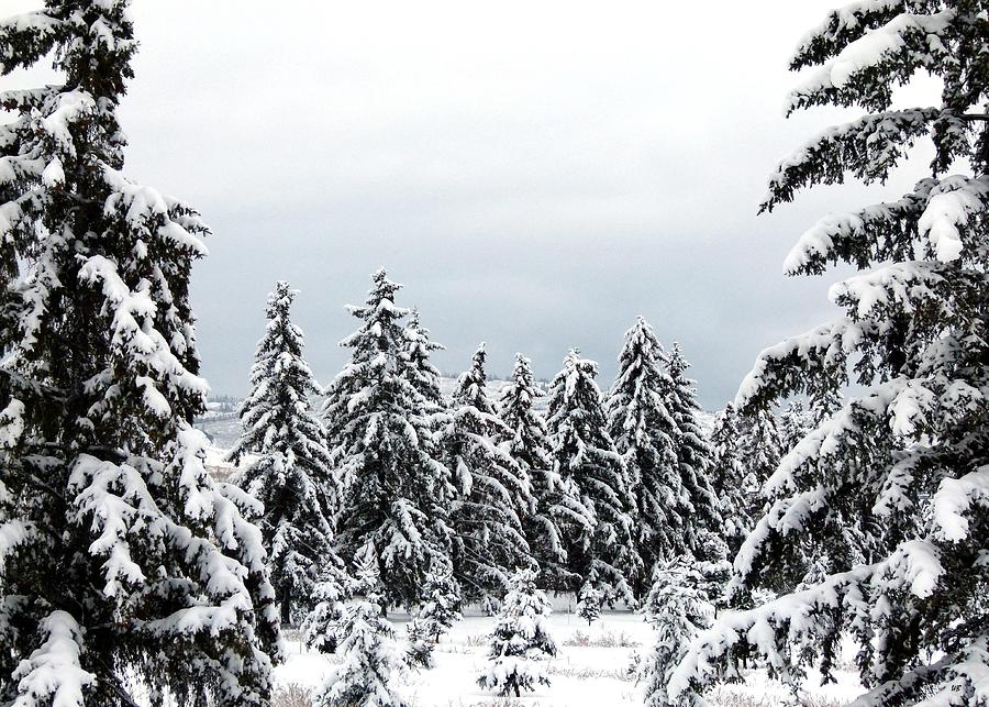 Winter Shangri-la Photograph by Will Borden