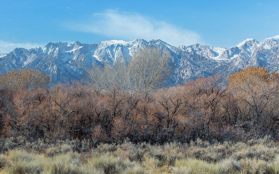 Winter - Sierra Nevada Photograph by Joseph Smith