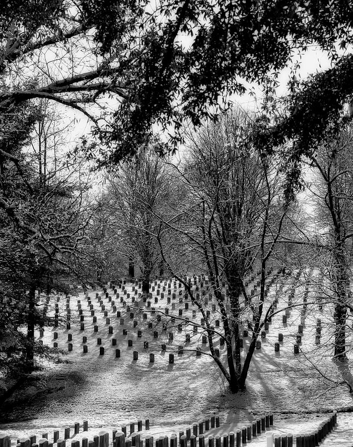 Winter Silence In Arlington Cemetery Photograph by Mountain Dreams