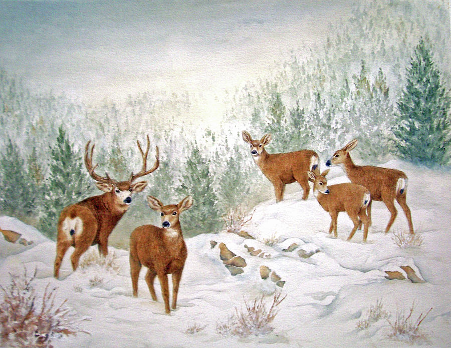 Winter Silence - Mule Deer Painting by Cherry Woodbury - Fine Art America