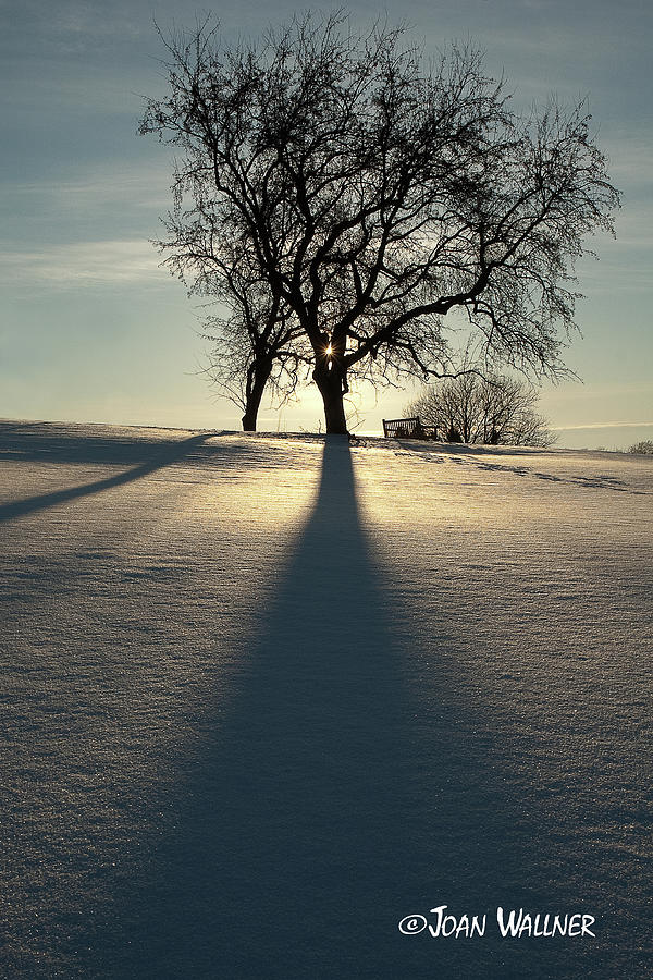 Winter Photograph - Winter Silhouette by Joan Wallner Winter Photograph - Winter Silhouette by Joan Wallner