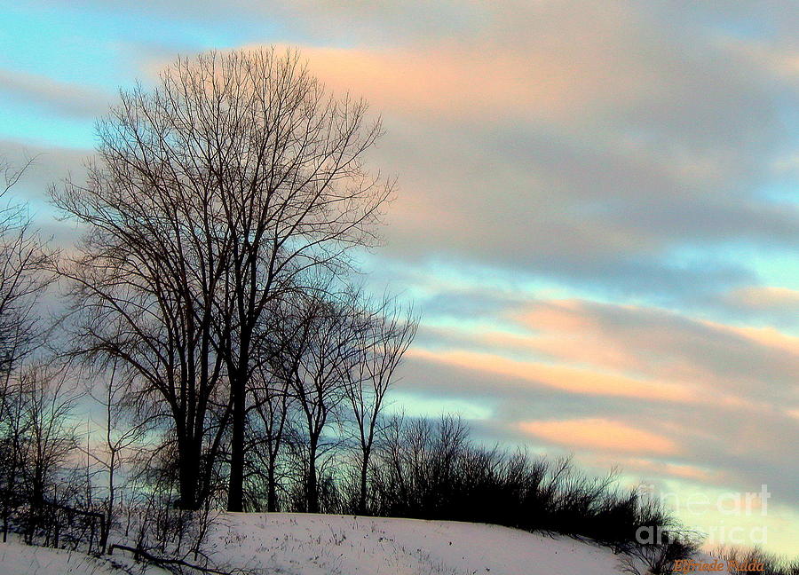 Winter Sky Photograph by Elfriede Fulda