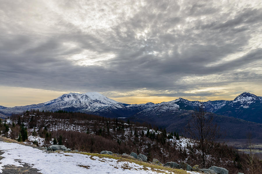 Winter Sky Photograph by Michael Scott