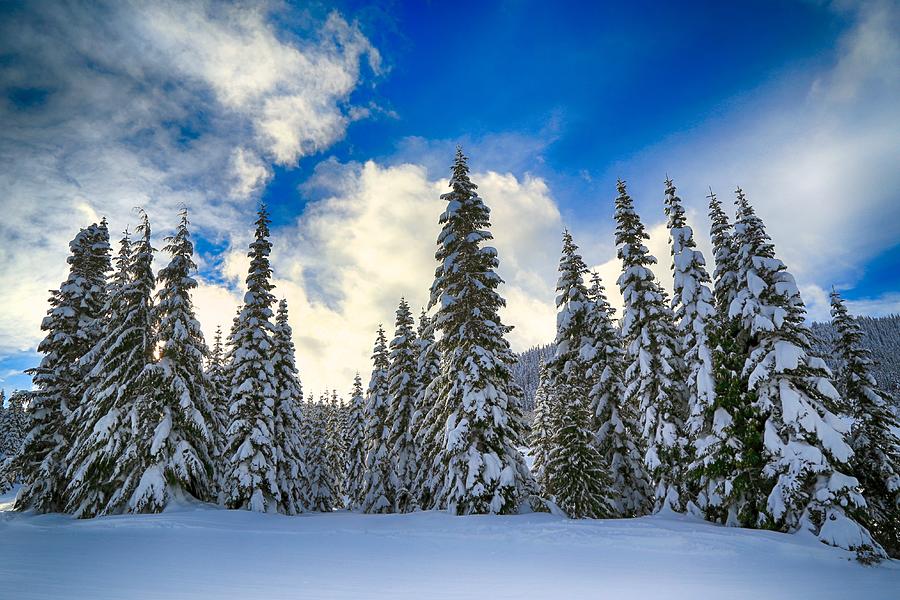 Winter sky on White Pass Photograph by Lynn Hopwood