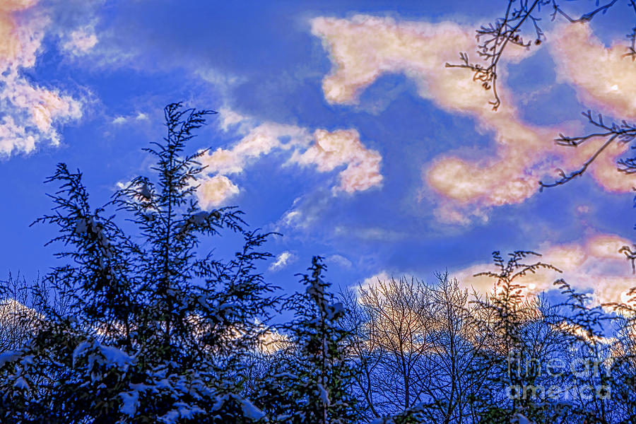 Winter Sky Photograph by Rick Bragan