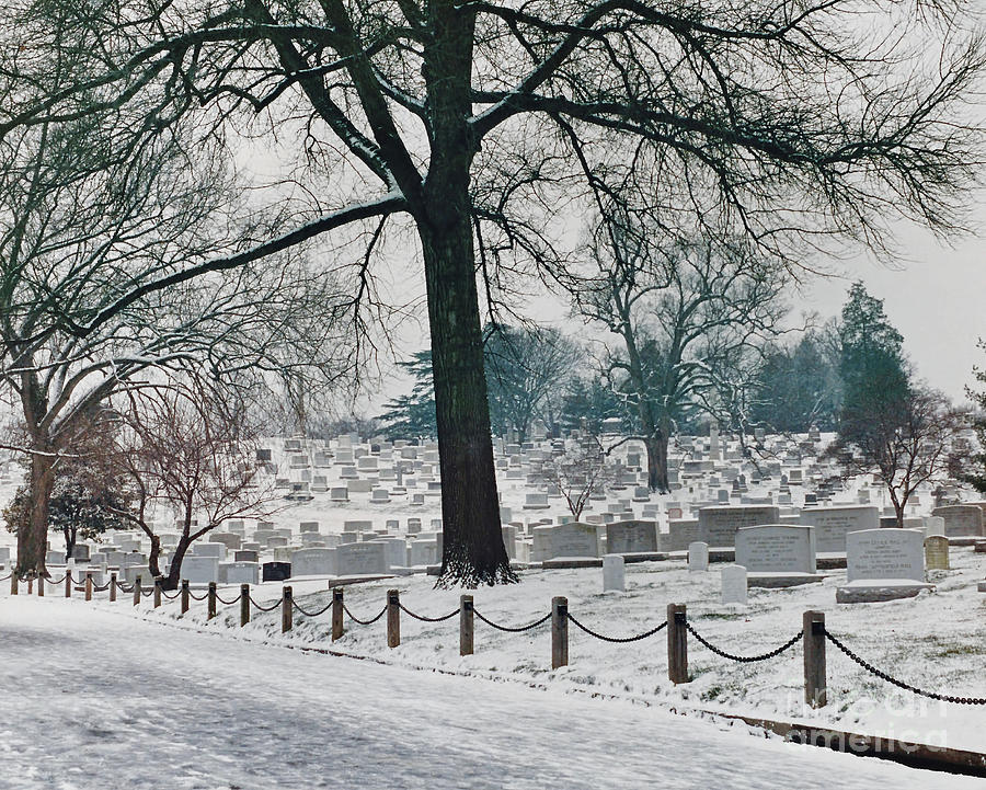 Winter Snow at Arlington Photograph by D Hackett