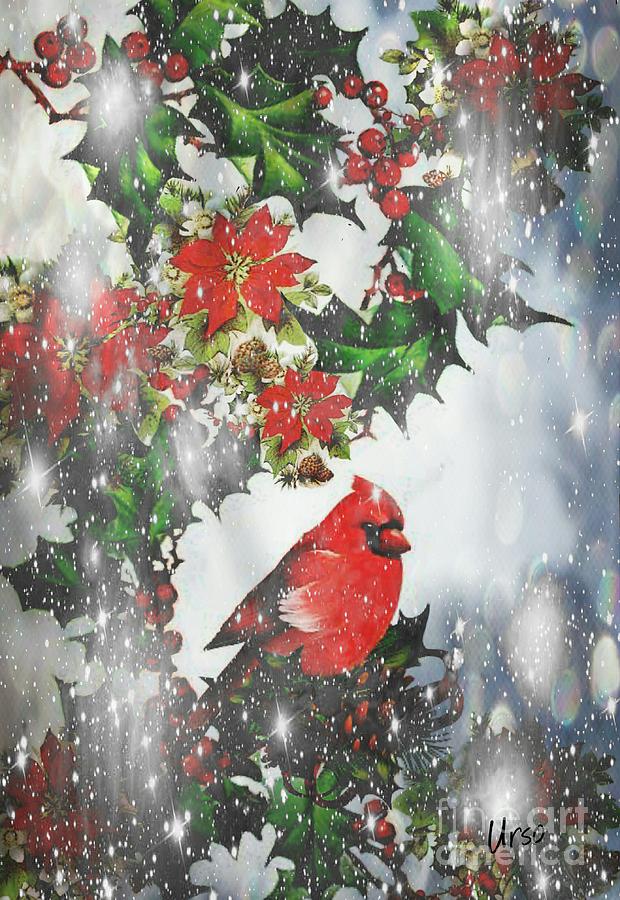 Winter Snow Cardinal Digital Art by Maria Urso