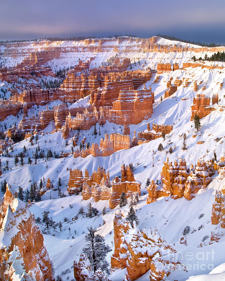 Winter Snow Covered Hoodoos Bryce Canyon National Park Utah Photograph by Dave Welling