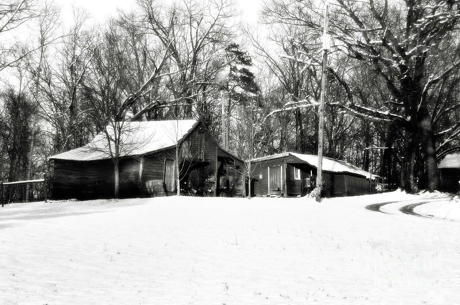 Winter Snow Photograph by David Waldrop