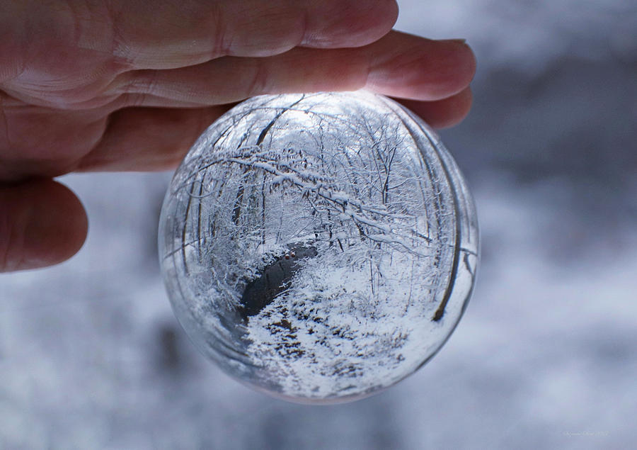 Winter Snow Globe Photograph by Suzanne Stout