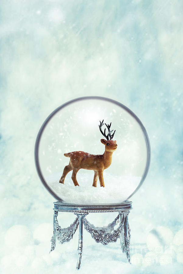 Winter Snow Globe On Stand With Reindeer Photograph by Amanda Elwell ...