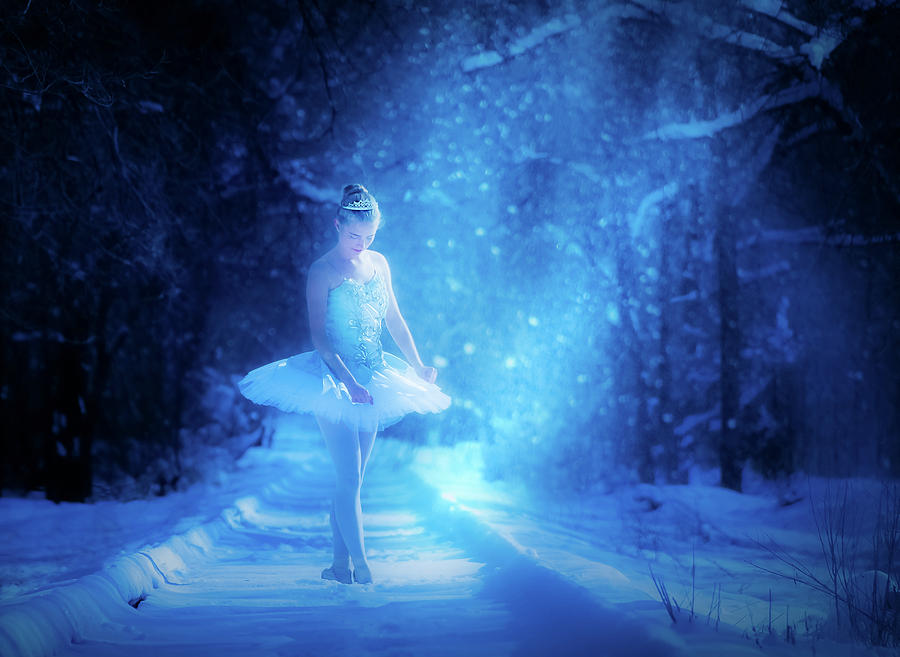 Winter Snow Queen Photograph by Dave Koch