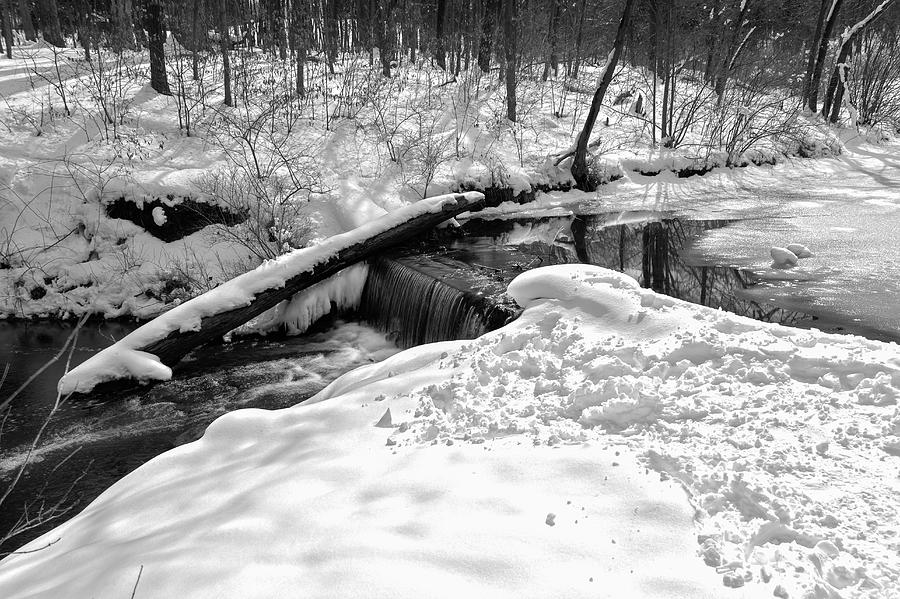 Winter Snow Scene Photograph by Joni Eskridge