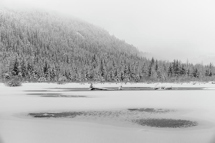 Winter Snow Photograph by Scott Slone