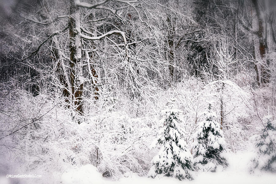 Winter Snow Storm 2018 Photograph by LeeAnn McLaneGoetz McLaneGoetzStudioLLCcom