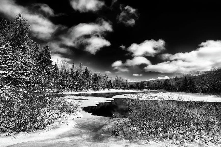 Winter Solitude Photograph by David Patterson