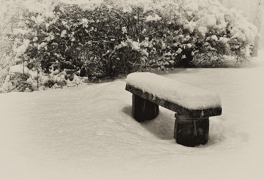 Winter Photograph - Winter Solitude by Jaime Hernandez