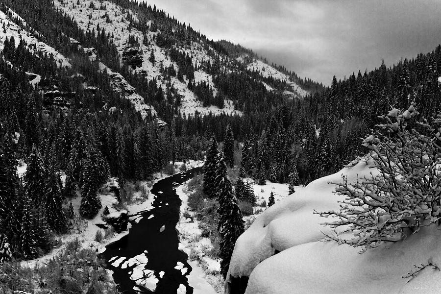 Winter Solitude Photograph by Joseph Noonan